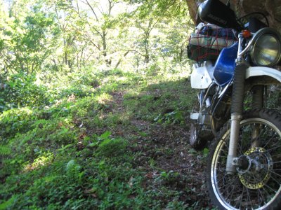 011.五箇山付近の林道にて_1