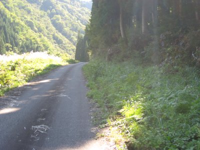 012.獅子超林道_1