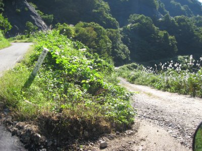 016.高清水林道_1