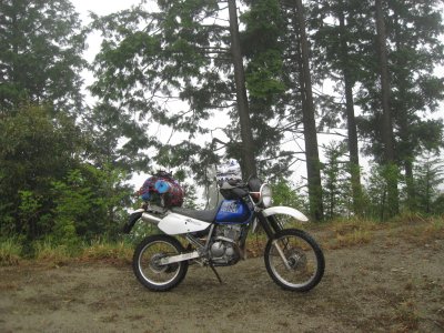 007.途中で見つけた林道