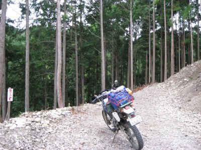 009.中津尾林道へと向かう