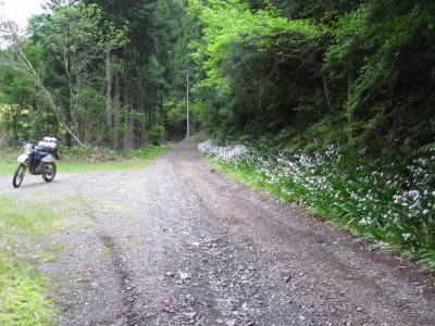 012.中津尾林道の途中①