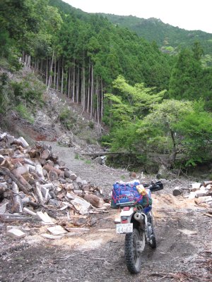 017.張川林道の分岐道①