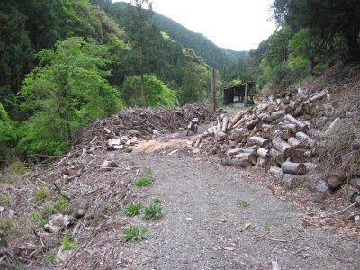 018.張川林道の分岐道②