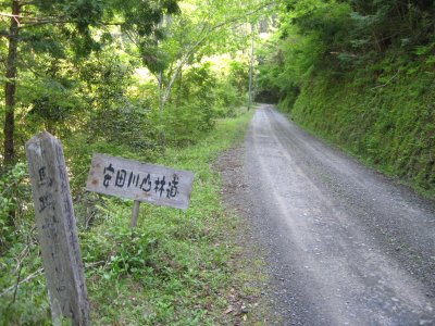 007.（馬路林道？）安田川山林道①