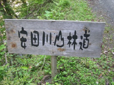 008.（馬路林道？）安田川山林道②