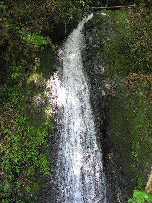 010.魚梁瀬ダム方面へ