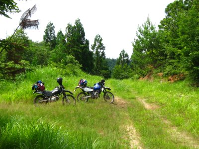 007.中辻肥前畑林道_1