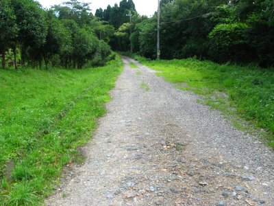 009.中辻肥前畑林道_3