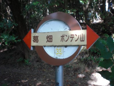 008.名前知らない林道②