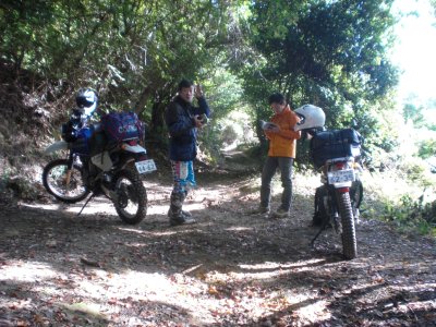 009.名前知らない林道③