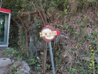 005.林道の入口か？②