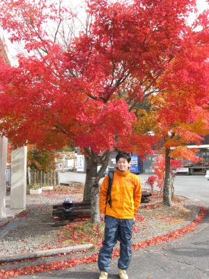 015.もみじ_トドロッキー版