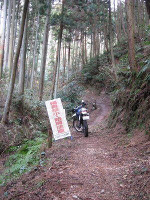 006.遊歩道？けもの道？