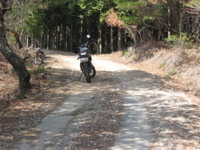 003.ここからダート区間