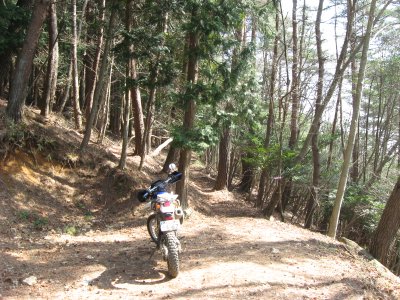 007.支線は行き止まりだった