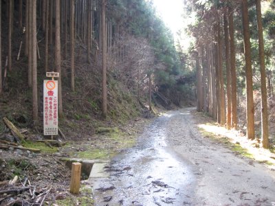 009.ここまでダート