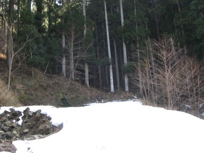 013.県道６１号_01