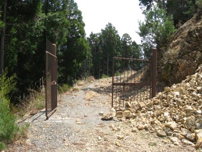 006.雪彦山エリアの林道①