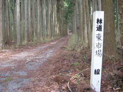 008.雪彦山エリアの林道③