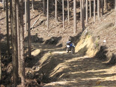 010.阿舎利山の林道①