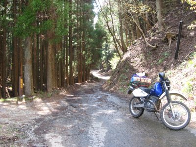 011.阿舎利山の林道②