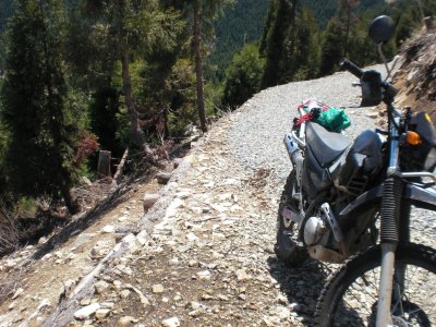 010.三室高原エリアの林道①