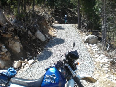 011.三室高原エリアの林道②