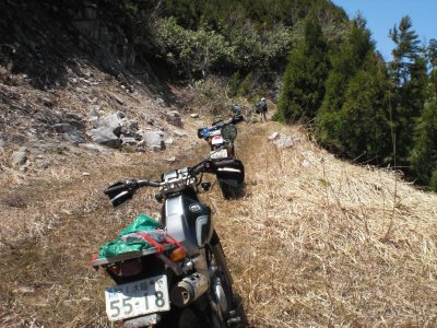 013.三室高原エリアの林道④