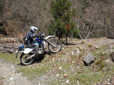 014.糸白見林道①