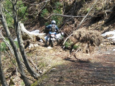 015.糸白見林道②