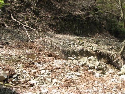 008.カンカケ峠を抜けたい⑤