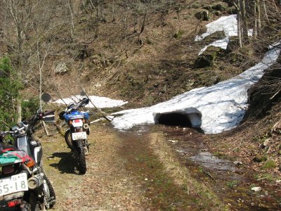 016.糸白見林道③