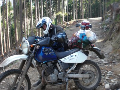 003.野営地すぐ横の道