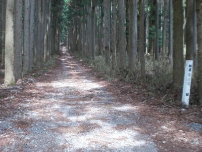 010.一宮から雪彦山方面へ①