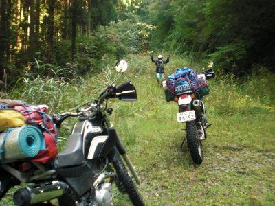 003.山崎ＩＣ付近の林道①