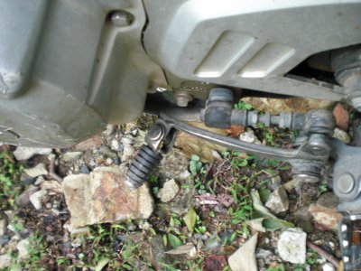 006.コータ君転倒②