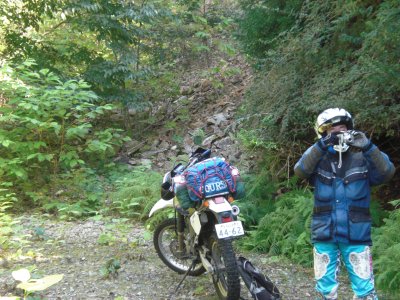 010.山崎ＩＣ付近の林道エリア②