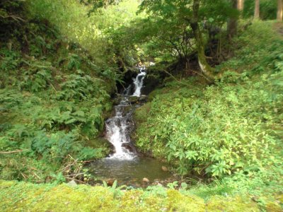 021.志度坂峠の脇道③