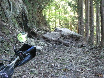 004.山崎ＩＣ付近の林道②