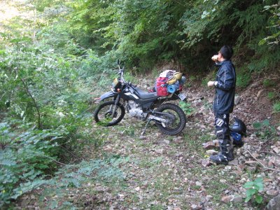 005.コータ君転倒①