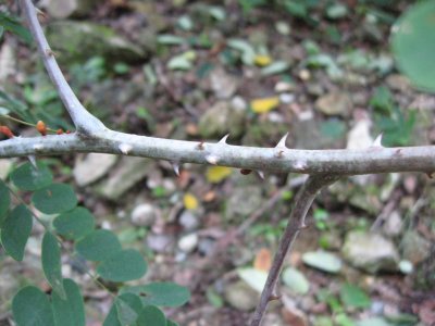 008.コータ君転倒④