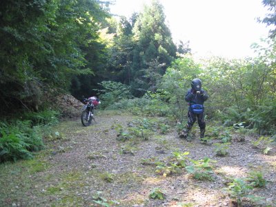 009.山崎ＩＣ付近の林道エリア①
