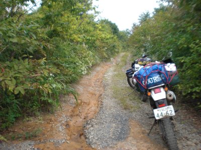 012.Ｔ字路に戻れるはずの林道（行き）