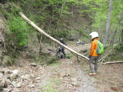 011_分岐の林道にて①