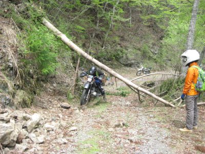 012_分岐の林道にて②