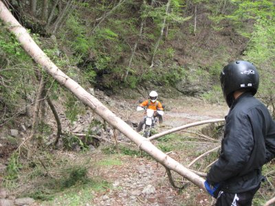 014_分岐の林道にて④