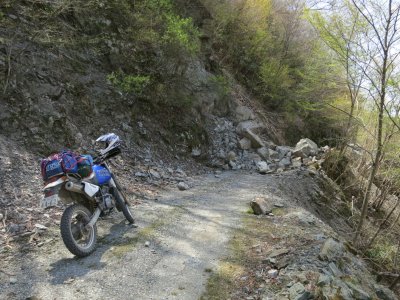 003_楮佐古小桧曽林道①