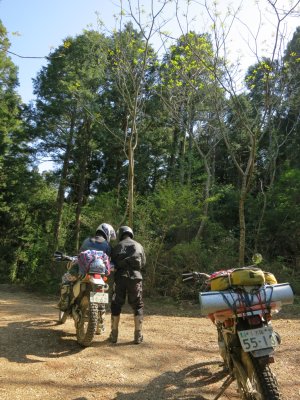 020_赤塚山の迷路林道⑥
