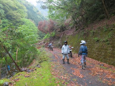 011_馬路温泉近くの林道